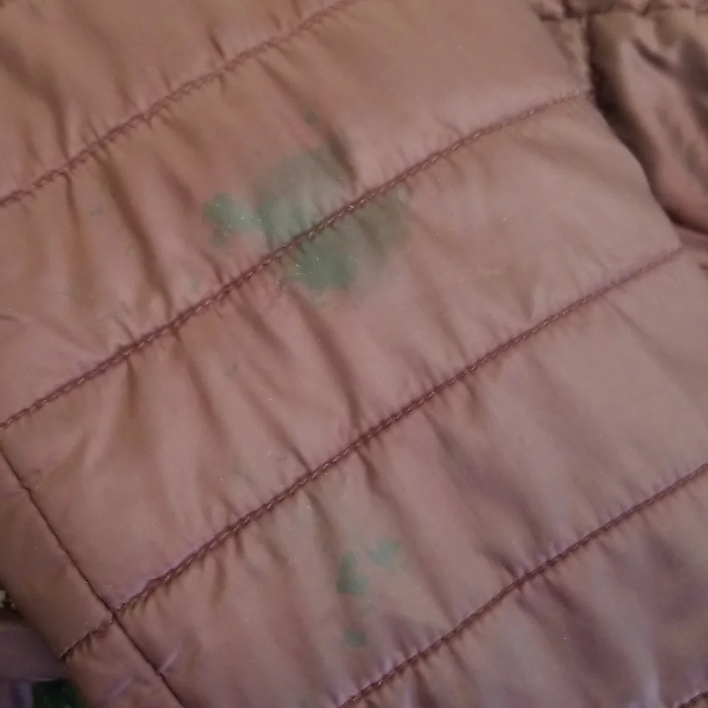 The North Face north face